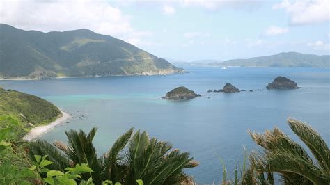 奄美大島 天気 10日間 ～空と海の間で揺れる気象の物語～