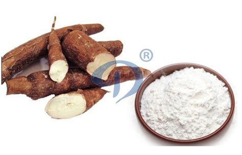  Arrowroot: เกี่ยวกับแป้งมันสำปะหลังที่ล้ำค่าสำหรับอุตสาหกรรมอาหารและเภสัชกรรม