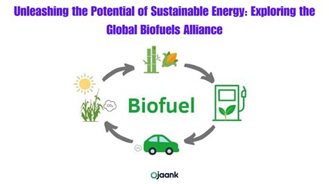 Barley:  Unleashing its Potential for Sustainable Biofuel and Nutritional Fortification!