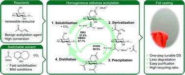  Cellulose Acetate:  ความมหัศจรรย์ของโพลีเมอร์ที่เริ่ด!  มาทำความรู้จักกับวัสดุที่สร้างสรรค์และยั่งยืน