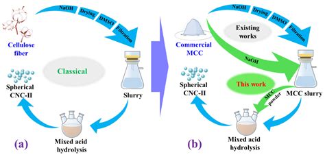  Cellulose Nanocrystals: สารมหัศจรรย์จากธรรมชาติสำหรับการเสริมความแข็งแรงและเพิ่มประสิทธิภาพของวัสดุ?