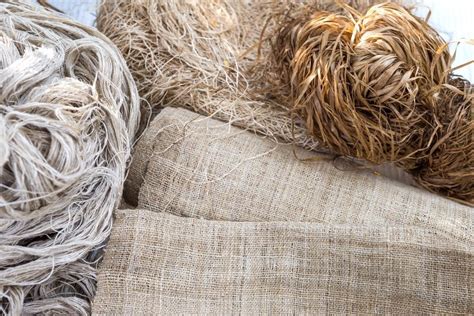 Fibrous Hemp: A Sustainable Champion for High-Performance Composites and Eco-Friendly Textiles!