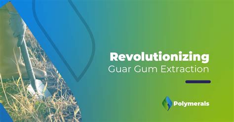  Guar Gum: ปฏิวัติอุตสาหกรรมอาหารและเภสัชกรรมด้วยเมือกจากพืชฝักนี้