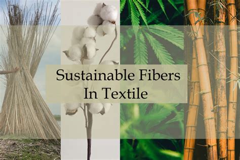  Hemp Fiber:  Unlocking Sustainable Innovation for Bioplastics and Textiles!